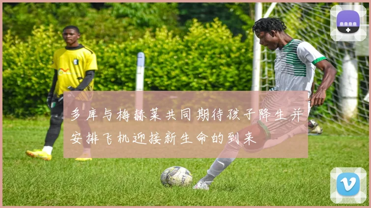 多库与梅赫莱共同期待孩子降生并安排飞机迎接新生命的到来